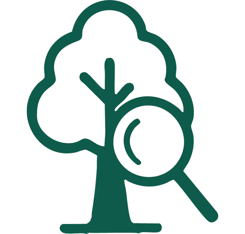 Baumkontrolle_Option